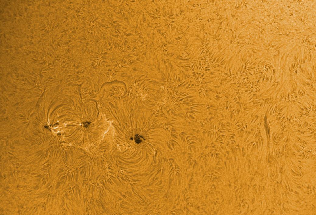 Sonnenflecken in den aktiven Regionen 2565 - 2567: