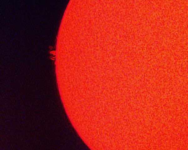 Sonne am 29.12.2007; Protuberanzen: