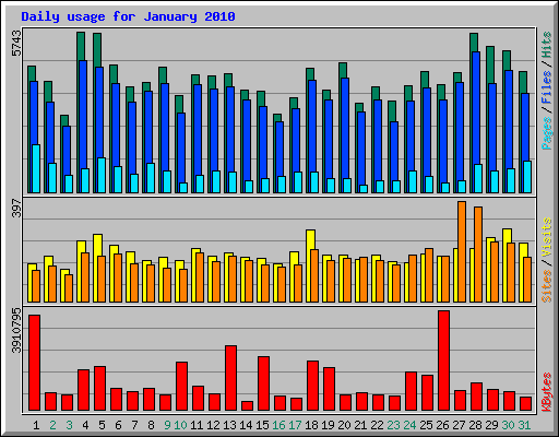 Daily usage for January 2010