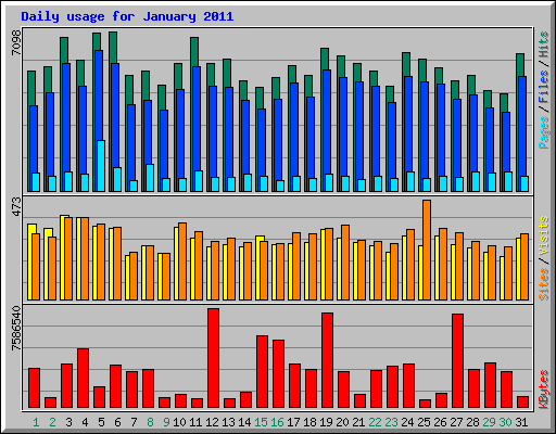 Daily usage for January 2011