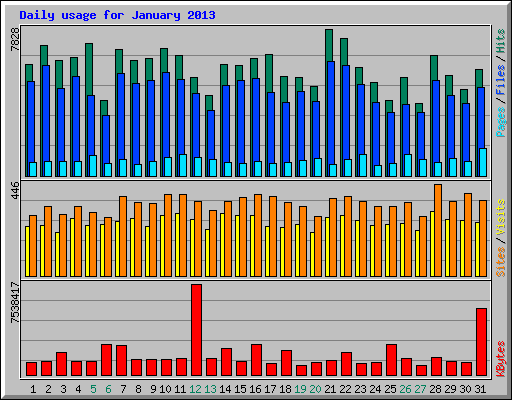 Daily usage for January 2013