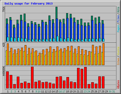 Daily usage for February 2013