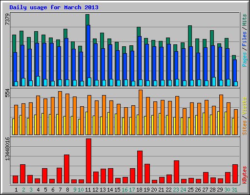 Daily usage for March 2013