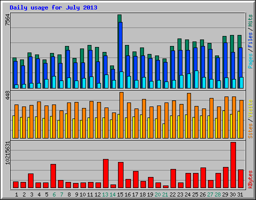 Daily usage for July 2013