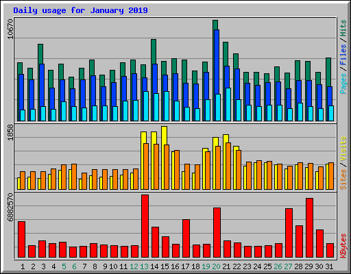 Daily usage for January 2019