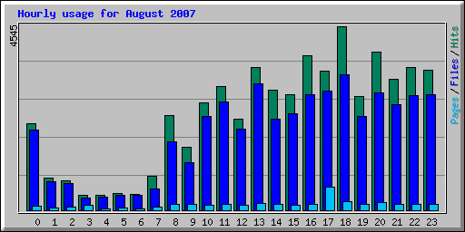 Hourly usage for August 2007