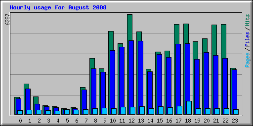 Hourly usage for August 2008