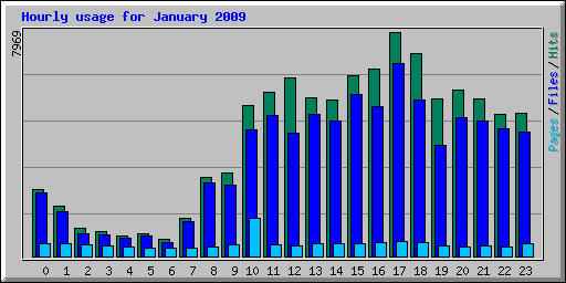 Hourly usage for January 2009