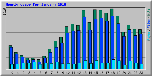 Hourly usage for January 2010