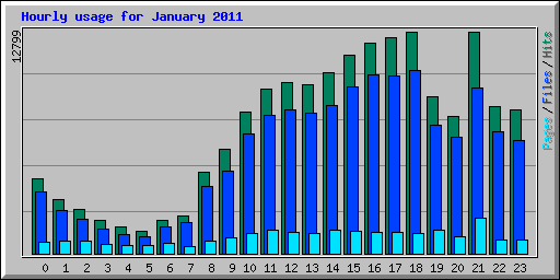 Hourly usage for January 2011