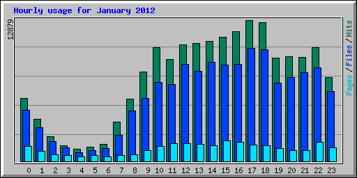 Hourly usage for January 2012