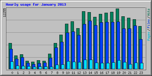 Hourly usage for January 2013