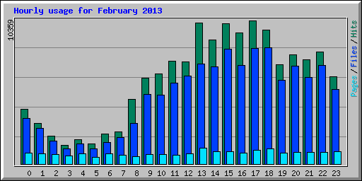 Hourly usage for February 2013