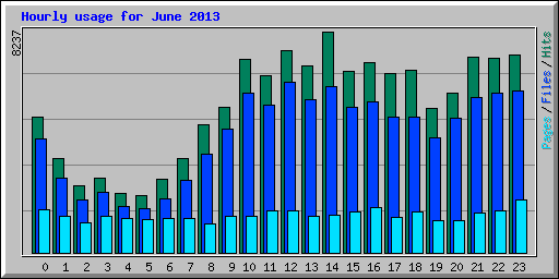 Hourly usage for June 2013