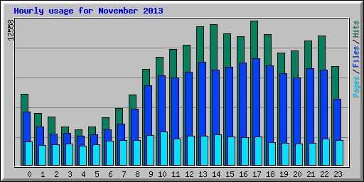 Hourly usage for November 2013
