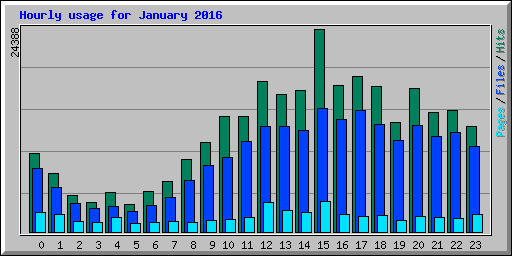 Hourly usage for January 2016