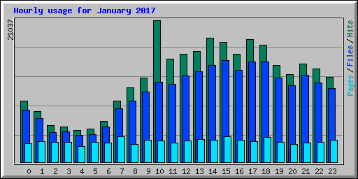 Hourly usage for January 2017