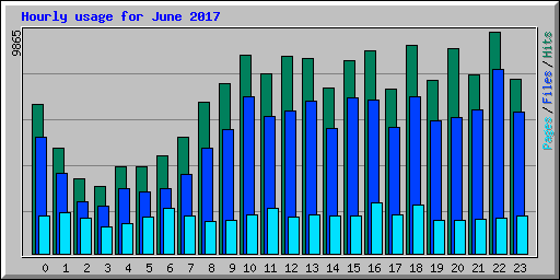 Hourly usage for June 2017