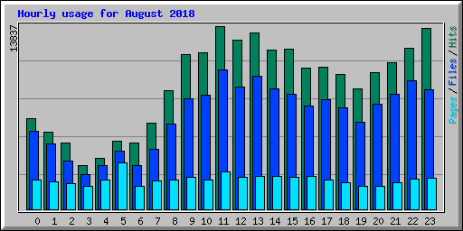 Hourly usage for August 2018