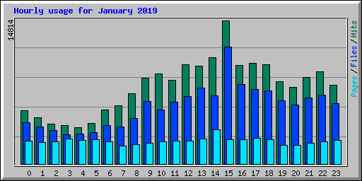 Hourly usage for January 2019